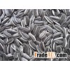 Sunflower seeds available in Bulk..