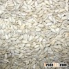 sunflower seed bakery grade