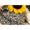 High Quality Sunflower Seeds, Sunflower Kernels On Sale