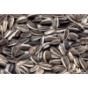 Sunflower Kernels