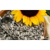 Sunflower Seeds