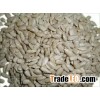 Sunflower seeds kernel