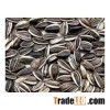 Sunflower Seeds for Animal feed