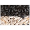 Sunflower Seed Oil