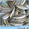Premium Quality, 5009 seeds,Bulk Pumpkin seeds and Sunflower Seeds,SEEDS,sunflower best price