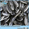 sunflower seeds,5009 type,24/64 sunflower kernels,sunflower kernel chips