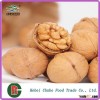 Walnut in shell