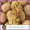 Walnuts in Shell Halves