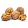NATURAL DRIED WALNUT KERNELS / UNSHELLED WALNUT / WALNUT IN SHELL