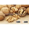 Inshell Walnuts, Shelled Walnuts, Light Walnut Meal