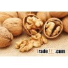 Walnut and walnut kernel with best quality