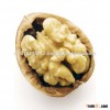 Chilean Walnuts