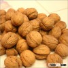 Quality Walnut and Walnut Kernel