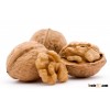 walnut without shell/walnut meat/walnut kernel