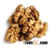 Walnut and Walnut Kernel cheap price