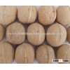 walnut in shell, walnut kernel
