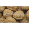 Inshell Walnuts, good price.
