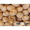 WALNUTS