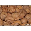 Edible Walnuts