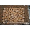 Walnuts In Shell