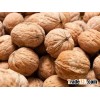 Good price and highly nutritive Walnuts for sale