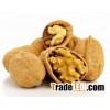 WALNUTS AND WALNUTS KERNELS