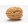 Walnut Kernels without Shell from USA - Bulk & Wholesale Walnuts - Kernel No Shell