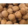 Walnut from UA