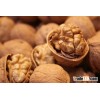 Brand new walnut in shell size 34 mm superior grade with low price ukraine walnut