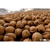 High Quality WALNUT with and without shell
