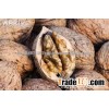 WALNUTS SEEDS