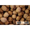 walnut, walnut kernel, walnut kernels, walnuts