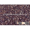 Raw Melon Seed