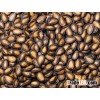 watermelon seeds or kernels