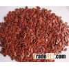 Red Melon Watermelon Seeds Available
