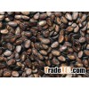 Pumpkin seed / Watermelon seed