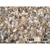 Watermelon seeds Vietnam(Ms Iris - whatsapp viber 00841292939993)
