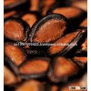 Watermelon seeds