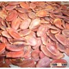 Chinese red watermelon seeds