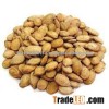 Watermelon Seeds Watermelon seeds HIGH GRADE A