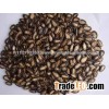 Watermelon Seeds, Black Watermelon Seeds Grade A for sale