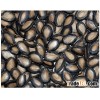 Grade A Watermelon Seed