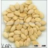 WATER MELON SEEDS