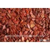 bulk cheap red Watermelon Seeds supplier