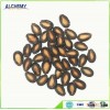 cheap watermelon seeds