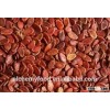 Organic red watermelon seeds
