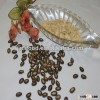 Chinese watermelon seeds 9cm in black