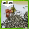 The sun flower seeds 5009 size with good quality for export