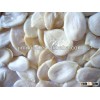 High quality watermelon kernel 2012 crop top quality