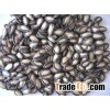 New crop Black melon seeds kernel